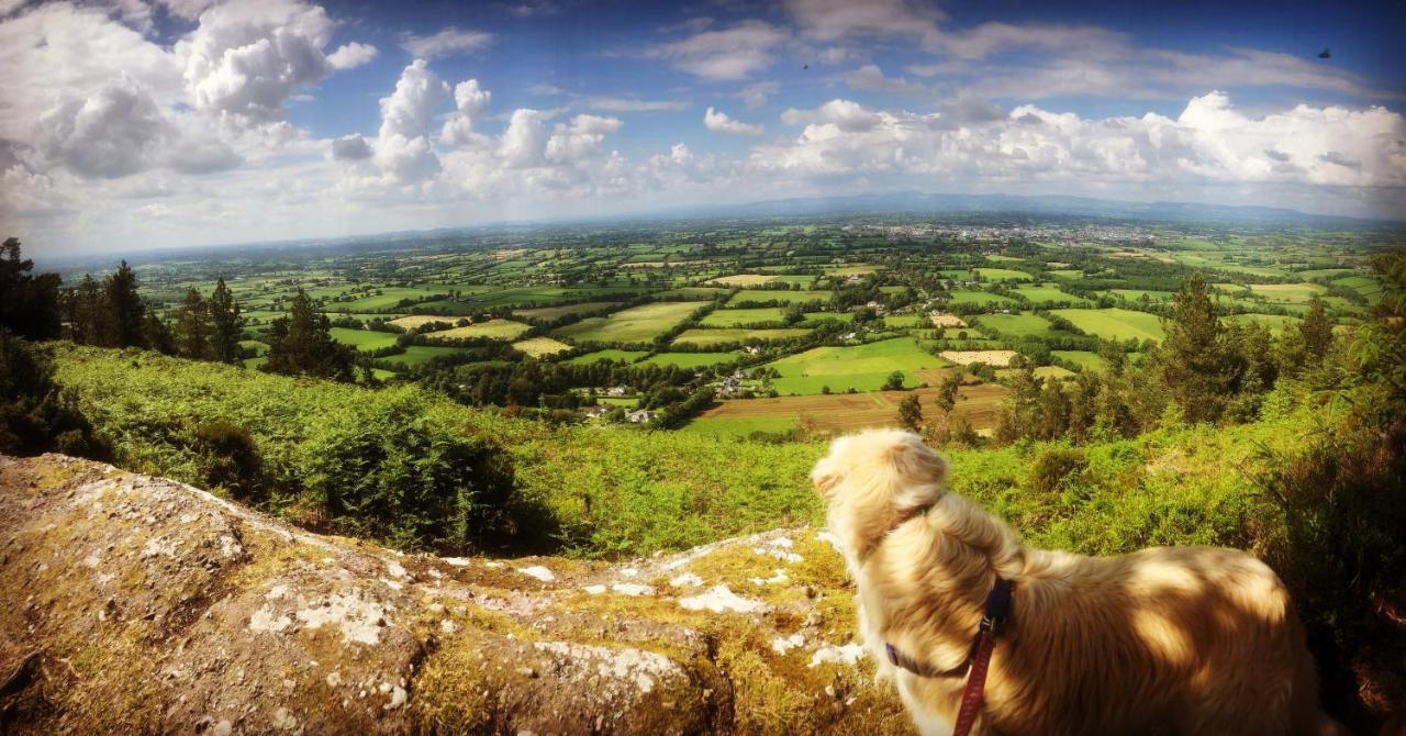Ballyglass Country House Tipperary Buitenkant foto
