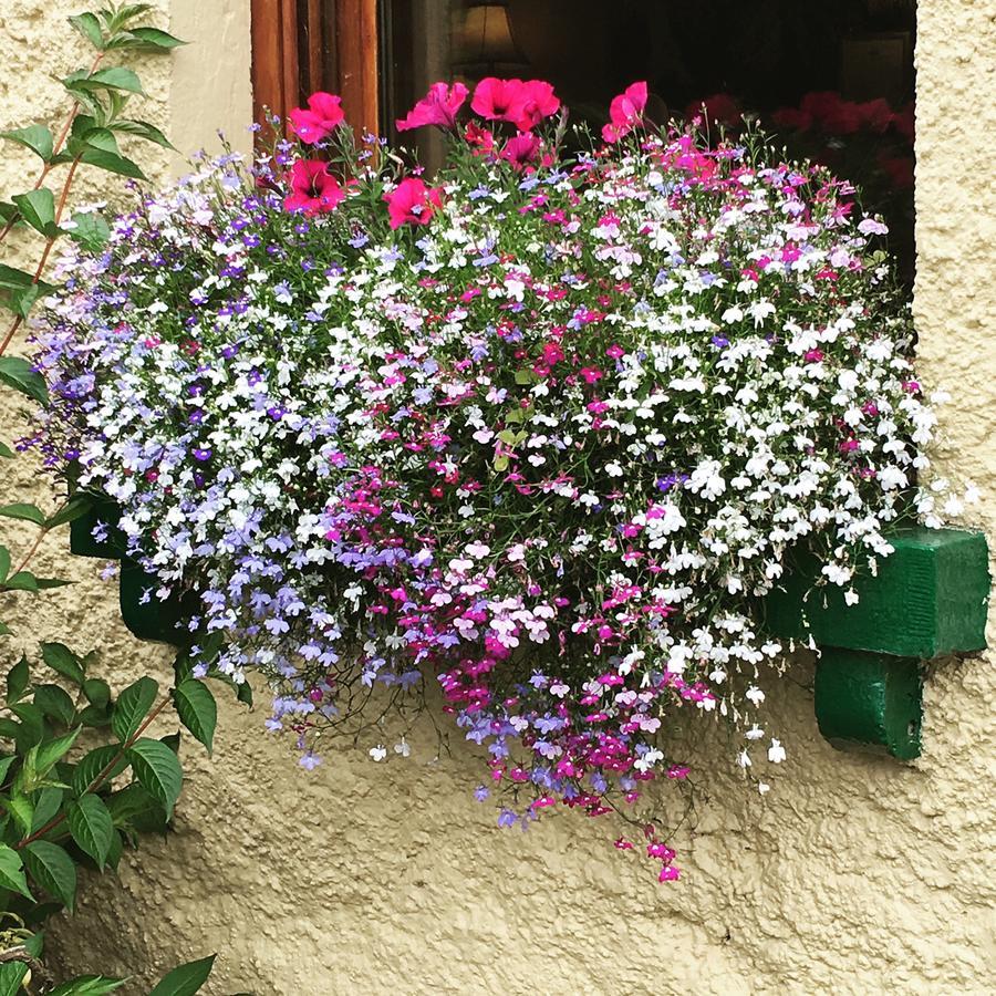 Ballyglass Country House Tipperary Buitenkant foto